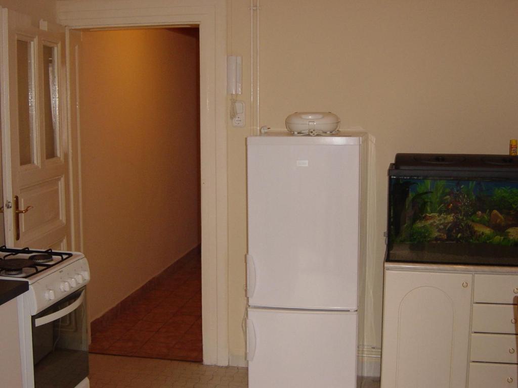 Ringavenue Apartments Budapest Rum bild